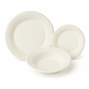 Disposable Dinnerware